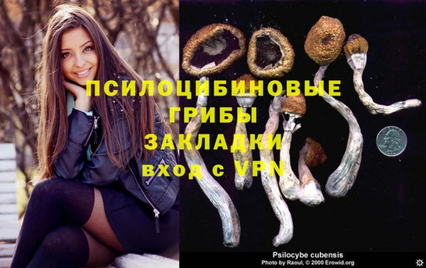 мдпв Гусь-Хрустальный