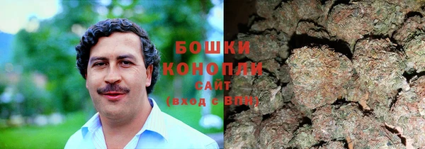 гидра Дмитровск
