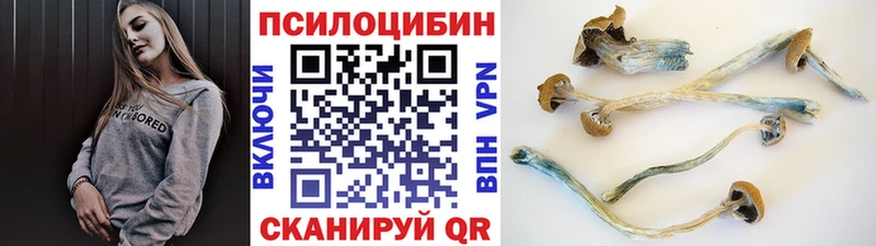Галлюциногенные грибы мицелий Мончегорск