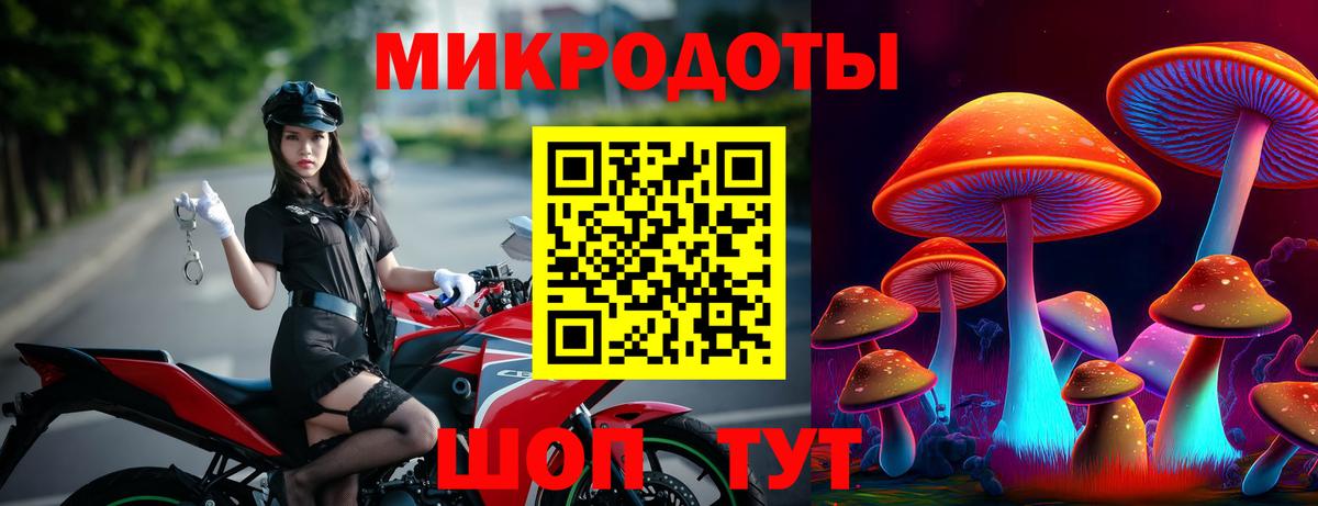 где найти   Вход с VPN  Мончегорск  Галлюциногенные грибы GOLDEN TEACHER 