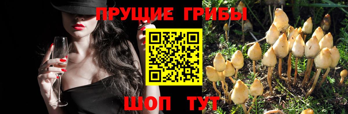 Каннабис  Бошки Шишки  Гашиш  NBOMe  ГАШ  Вход с VPN  Мефедрон кристаллы  Мончегорск  Купить 